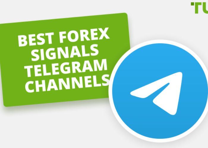 Links to the Best Telegram Channels Groups in Kenya